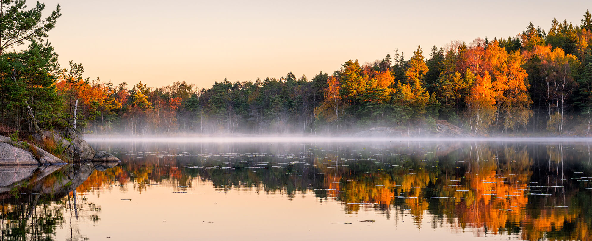 Fog covered lake surrounded by an autumn forrest
